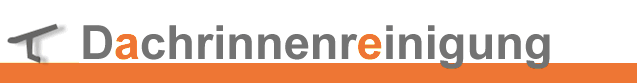Dachrinnenreinigung